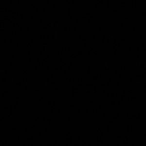 Meet your Posher, Gianna